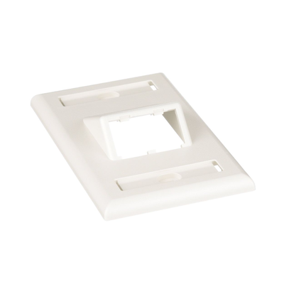 [CFPSL2IWY] Placa de Pared Vertical Clásica, Salida Para 2 Puertos Mini-Com Inclinados, Con Espacios Para Etiquetas, Color Blanco Mate